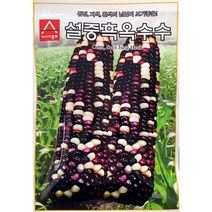 설중흑옥수수씨앗 30g, 1개