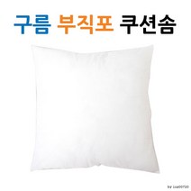 구름 실크 쿠션솜l 쿠션 l 압축포장 l 쿠션솜45 PTH, 유화쿠션커버(화이트)