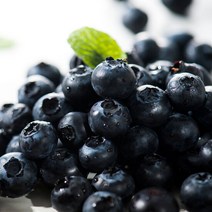 수입산 생 블루베리 125g x4팩, 단품