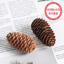 길쭉솔방울 5cm_ (10개입) 네츄럴 크리스마스 장식 볼