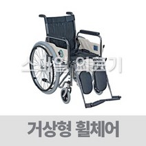 대성 스틸 휠체어 ( DF-108A 거상형 )