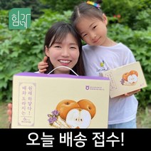 힘가네 도라지배즙 80ml x 40개입, 40포