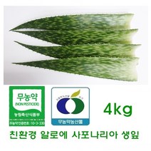 친환경 알로에사포나리아 생잎4kg, 1개