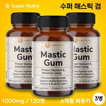 미국빠른직구 수퍼누트라 매스틱검 1000mg 120정 60일분, 3개, 3개