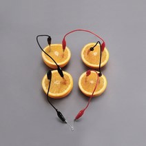 과일전지(고휘도 발광다이오드)/교구9744