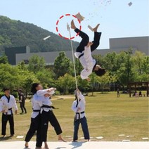 태권도 시범공연 고공발차기 공중격파대 3단 수련용