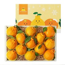 우리동네과수원 [1/18일 자정주문건까지 명절전배송]정성가득 한라봉 5kg세트(14-17과)