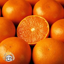 블루제주 서귀포 천혜향 1.5kg (실속형 중대과 6-12과 실중량), 단품