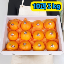 푸릇푸릇 2022년 귤 제주 감귤 한라봉 제주도귤 노지감귤 극조생귤 5kg 10kg, 제주한라봉, 11-12과, 3KG