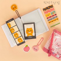 카카오프렌즈 2단 포토 콜렉트북 1p 라이언 어피치 포토카드 포켓앨범 보관 미니앨범 사진 포카 폴꾸 폴라로이드 캐릭터