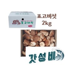참나무 생 표고 버섯 중품 2kg
