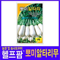 헬프팜 뽀미알타리 20g 씨앗 종자 그린하트바이오