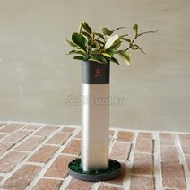 오즈디 꽃 화분소화기 명절 스승의날 선물 화병 꽃병 화초 축하용품, 실버컬러-호야(생화)