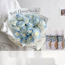 생화 스프레이 꽃 특수 염료 착색제 플라워 컬러 스프레이, 플라밍고 450ml 전용 컬러 친환경 포뮬러