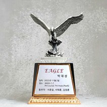 우진아썸 이글트로피 골프트로피 싱글 홀인원패 WE302
