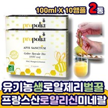 유기농 생 로얄제리 로얄젤리 로열제리 벌꿀 망고퓨레 파인애플주스 농축액 ROYALJELLY 프랑스산 앰플 노인 부모님 시니어 에 좋은 추천 선물 아미노산 단백질 로얄리신 미네랄