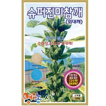 슈퍼진미 참깨 씨앗 3000립