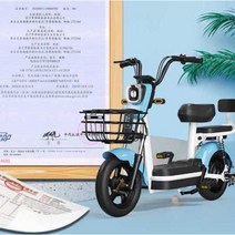 어르신전동차 오토바이 삼륜차 전기 농촌 노인 관부가세포함, D