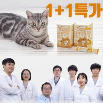 [유산균캣] 고양이 전문 유산균 영양제 설사 변비 구토 면역력 장건강 프로바이오틱스 프리바이오틱스 파우더 캣바이오 1+1