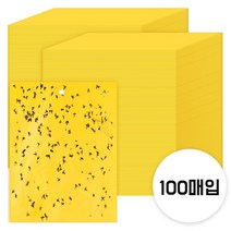 그린스하비 날파리 끈끈이 스티커형, 100매입