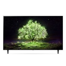 LG전자 LG OLED TV OLED48A1ENA 배송무료, 스탠드