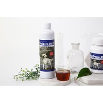 협성로하스 맥시덤 (MaxiDerm) - 피부 모발 영양보충제 / 오메가3 30T 사은품 증정, 리퀴드형 237ml