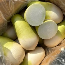 국내산 월동무 무우 세척무 제주무, 제주무 10kg