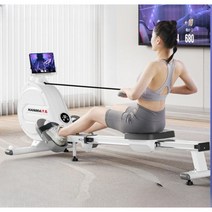 가정용로잉머신 노젓기 운동기구 에어 전신조정 유산소 로윙 조정 크로스핏, 아이보리 화이트 8단 저항수동 저항 조절