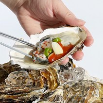 [맛통영] 통영 산지직송 제철 최상급 생굴 깐굴 굴 석화 각굴 하프셀 반각굴 1kg, 석화10kg, 1개