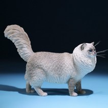 귀여운 렉돌고양이 모형 랙돌고양이 Ragdoll 고양이 반려묘 반려동물 모델 장식 소품, 002