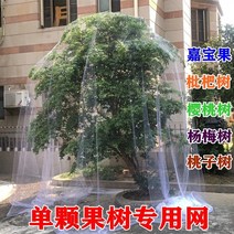 방조망 한냉사 한랭사 블루베리망 참새망 오이 호박 조류 농작물보호 넝쿨 농사용그물 가정용 과일 나무 방지 Jiabao 과일 나무 비파 나무 체리 방지 과일 나무 방지 철망 커버, 폭 20미터 × 길이 20미터 과수 5미터용