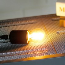 공간LED LED 에디슨전구 인찌구 G45 3W