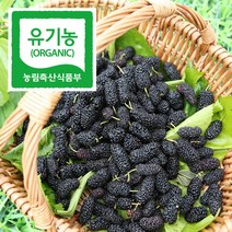 땅끝해남 산지직송 유기농 명인이 정성으로 재배한 유기농 햇오디 냉동 오디 생과 1kg