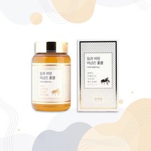 굿소일프레시 Songkangdang 제주 봉개꿀 들과바람머금은 꽃꿀 580g, 자연향과 비타민효소가 살아있는 벌꿀