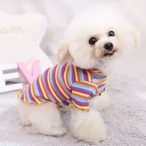 강아지 이너 맨투맨 면스판 고양이 색동옷 테디 펫웨어, 레인보우스트라이프Bottoming셔츠, L