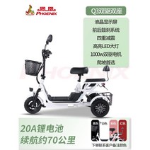 전기 킥보드 3륜 보드 전동 바이크 세발, V, 48V