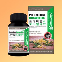 인도산 프리미엄 보스웰리아 60정 보스웰릭산 유향나무 세라타나무 보스웰리스 보스벨리아 보슬웰리아 고수엘리아 보스웰리아환, 단품
