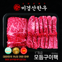 미경산한우 1+모듬구이팩300g, 300g