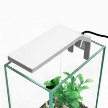 아쿠아테라 수족관 LED 인테리어 미니등 CH-L5 화이트, 1개