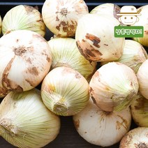삼촌밥먹자 [무안직송] 황토 무안 햇 양파 (소)1kg3kg5kg10kg, 3kg