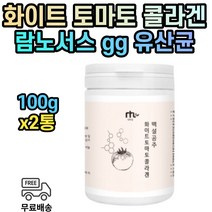 락토바실러스 유산균 먹는 여성 화이트토마토 가루 분말 파우더 가세리 람노서스 루테리 카제이 아시도필러스