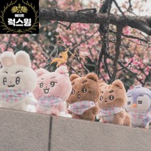 [국내배송] 뽀바투 인형 10cm 5종 세트 전체 구매(사은품 포토카드) 투바투 왕바투, 5종세트전체구매(특별할인)
