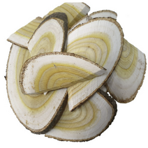 옻나무, 500g, 1개
