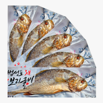 영광 굴비 법성포 보리굴비 전자렌지3분 간편 보리굴비, 10팩, (명품특대)30~31cm 230g내외