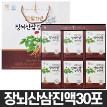 산수원 참다운 장뇌산삼 70ml X 30포, 4세트