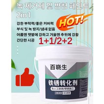 (1/1+1/2+2) 2in1녹 제거제 및 방청 페인트 친환경 금속 녹전환제 메탈녹제거제 부식 및 녹방지/방수 및 방습 [500g], 500g/개