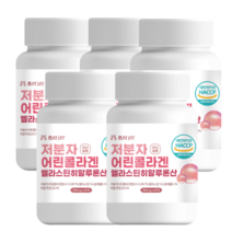 비오틴 콜라겐 어린콜라겐 300달톤 저분자 피쉬콜라겐 캡슐 1개월분, 5개, 60정