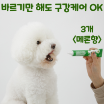 펫생각 하루치카 덴탈클린 강아지 치석제거 발라만 주는 치약 3종 천연 효소 딸기향 메론향, 3개, 메론