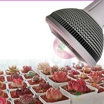 식물조명 스텐드 다육보광등 인공태양 성장등 50W, 단품