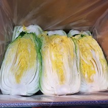 땅끝 해남 절임배추 20kg 예약배송, 12/13일(화) 도착